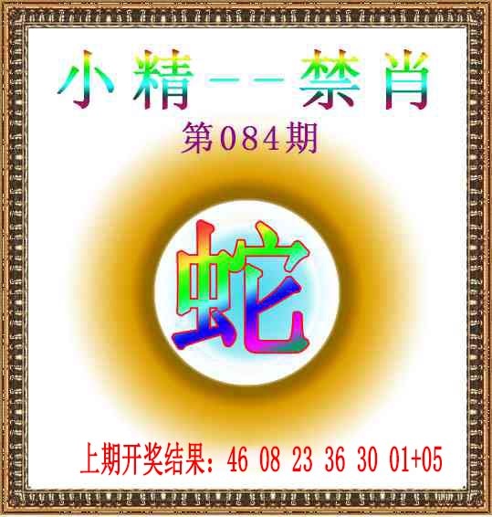 084期小精禁肖[图]